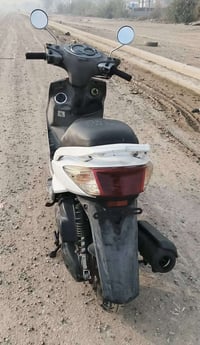 فحل • كابريتر • كفالة عامه