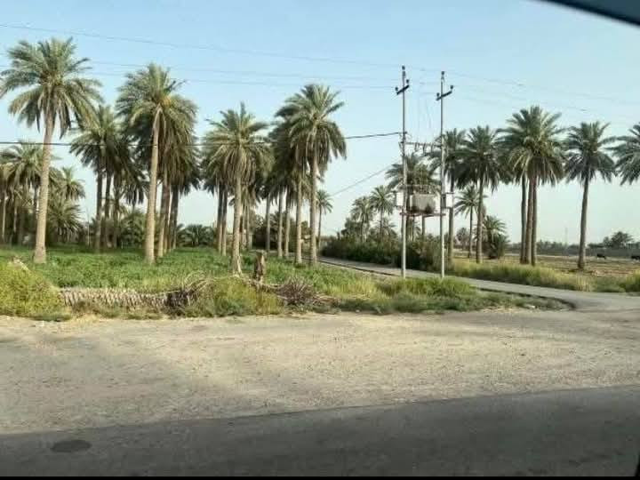 📢 فرصة ذهبية على ذراع دجلة – موقع مميز جداً 🌊🔥
عمي بهالسعر وبهذا الموقع والله بلاش 😱
أرض مثالية للاستثمار أو إنشاء مزرعة وشاليه 👇
🔹 التفاصيل:
📏 المساحة: 12 دونم
📐 كل دونم: 50×50 مربع
💰 السعر الكلي: 37 مليون فقط
🔹 المميزات:
🌊 موقع مباشر على ذراع دجلة
⚡💧 جميع الخدمات متوفرة (كهرباء + ماء + ماء إسالة)
🏡 قريب من مناطق السكن
🌴 محاط بمزارع وشاليهات (منطقة حيوية ومرغوبة)
🔹 الموقع:
📍 بغداد – التاجي
📍 ذراع دجلة / منطقة الشيخ عامر
💰 فرصة نادرة بهالسعر وبهذا الموقع، مناسبة للاستثمار أو الترفيه 🌿
📞 للاتصال والاستفسار:
***********
#بغداد #التاجي #ذراع_دجلة #اراضي #بيع_اراضي #استثمار #مزارع #شاليهات #فرصة
