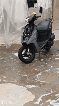 سلام عليكم دراجه للبيع ساسوكي جنطه نضيفه مال وكيل صار شهر طالعه من لوكيل دراجه نضيفه مكينته ناعمه مكاني العماره حي جامعي سعر ٥٥٠  بيهه مجال رقمي ***********.
