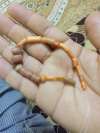 مرجان • حلي • اكسسوار شخصي