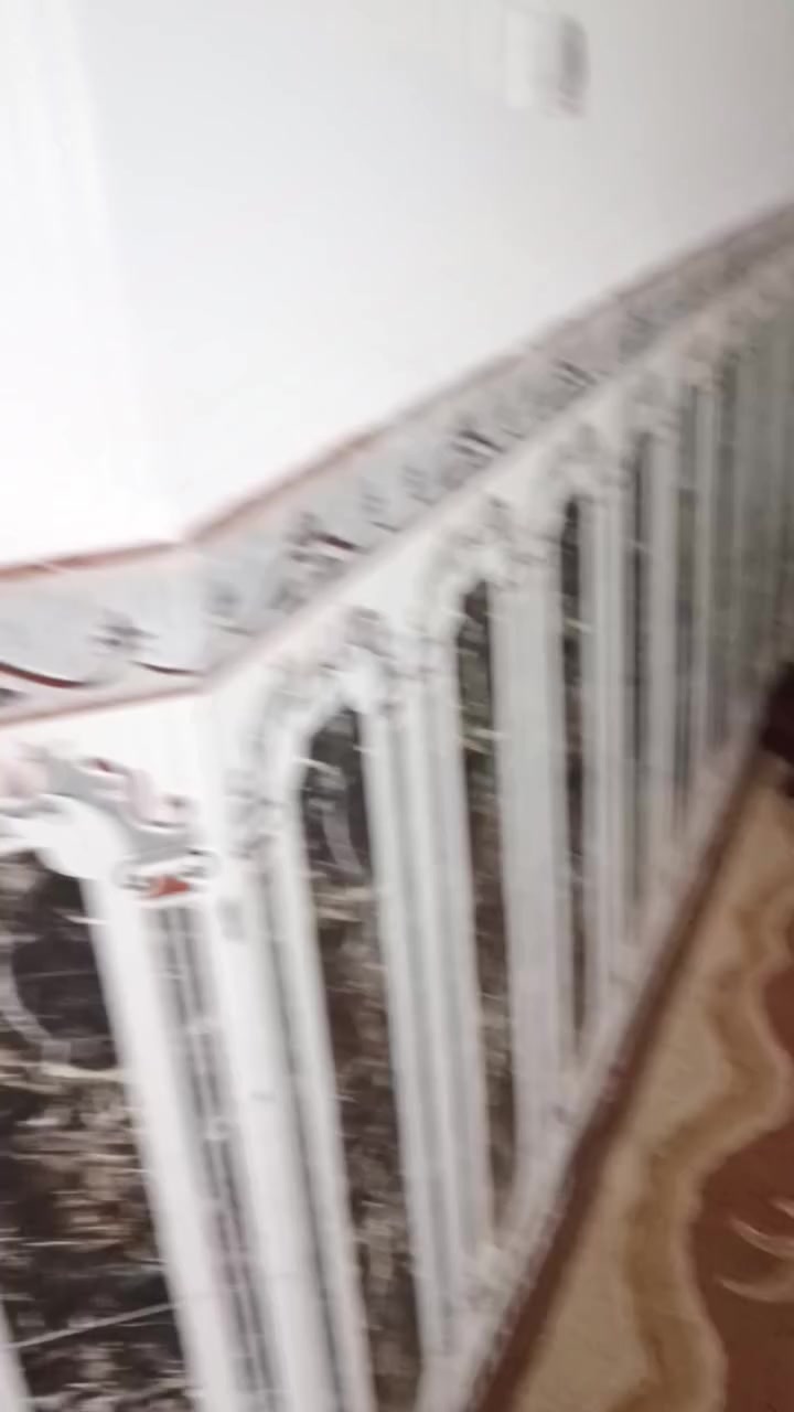 بيت للبيع زراعي منطقت حي الحسن نزلت النهر قرب مولده مساحه ٣٦٠ متر يتكون من ٢ غرف وصاله ١٠ متر وصاله ثانيه ٦ متر ومطبخ ٦ متر وستقبال ١٢ متر وطارمه وحديقه الي حاب يستفسر هذه رقم ***********
