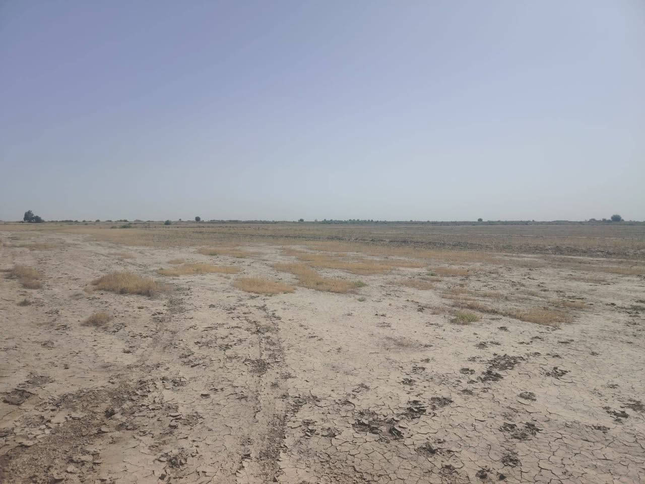 ارض زراعيه للبيع قرب السيد ابو لماش المساحه ١٨دونم اتواصل على الرقم***********
