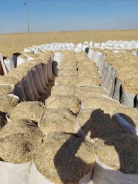 تبن حنطه • جيس ٥٥ • توصيل الشرقاط