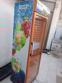 إيكو تركي • أخو الجديد • شرط الفحص