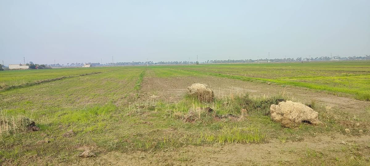 ارض زراعية منطقة الدينيه تقع على شارع الدينيه عباره عن قطعتين الاولى ٧دونم والثانيه ٥ دونم تتعهد كل الورثة بالتنازل ماعده أحد الورثه يرفض البيع تبلغ عدد الاسهمه مايعادل ٢٠بلميه من مجموع الاسهم يعني تبقه ما يقارب ١٠ دونم تتعهد باقي الورثه بتنازل بدون اي مشاكل علما فيها بستان لكل قطعه يصلح للزراعه والسكن اليرغب بالشراء يتواصل على الخاص او الاتصال 
(***********)
