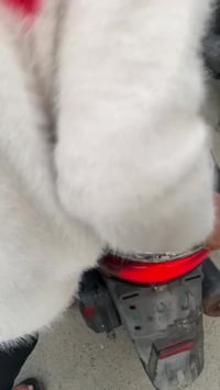 بريز مثل ما موضح بل فيدو والصور تجفيت جديد مضبوط بركيات اشاير كله شغال...