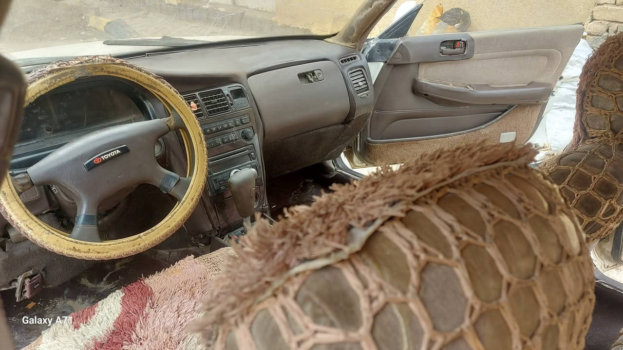 مارك للبيع رقم واسط موديل 1991
*********** مكان السياره واسط قضاء الحي
