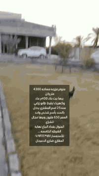 مزرعه • ٤٣٠٠م • طابو زراعي