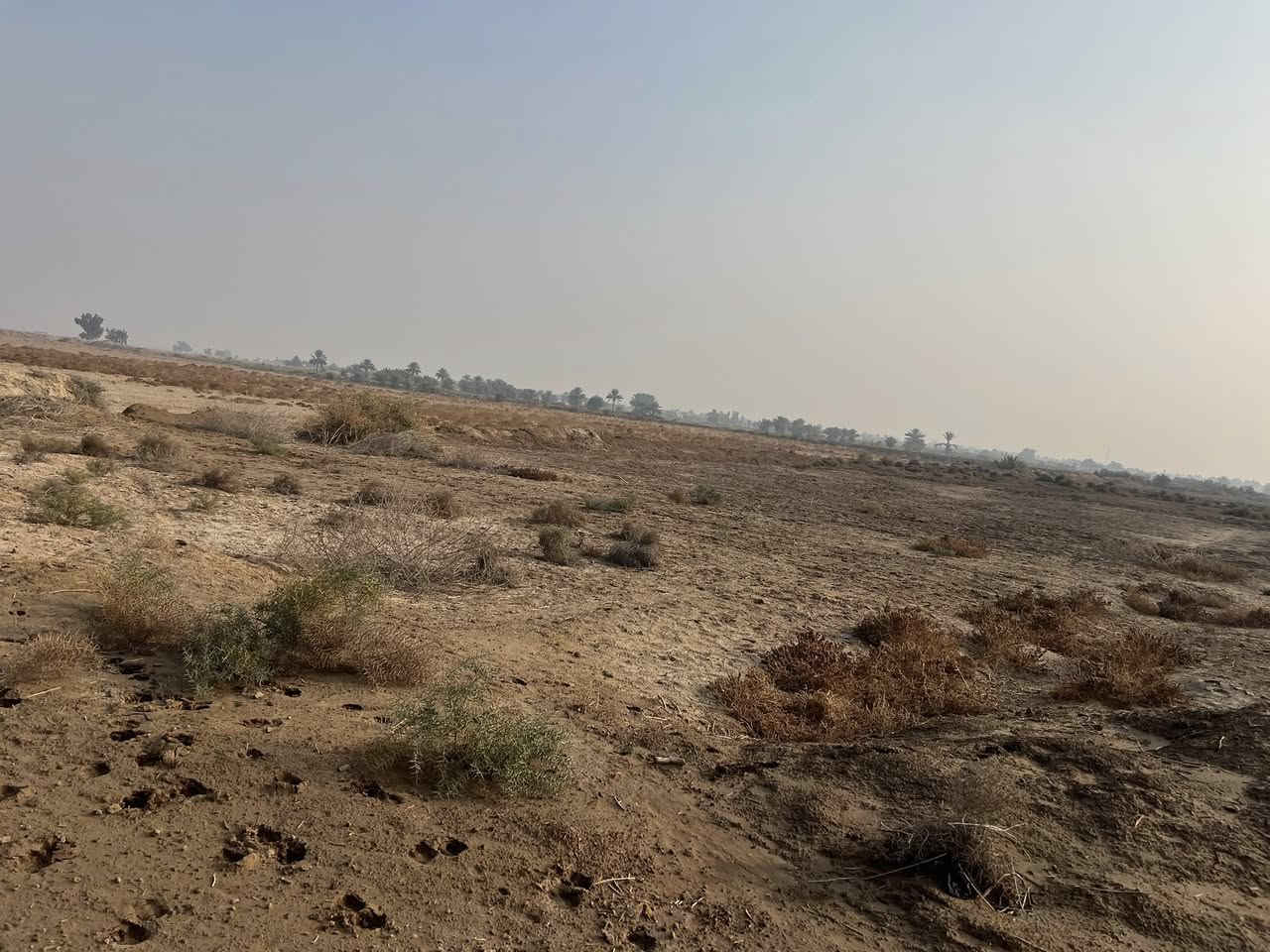 سلام عليكم عقد زراعي للبيع جديد 22 دونم 
طريق حله نجف خلف مجمع السعبري قرب جامعة الحله سعر الدونم 11 
استفسار  ***********
