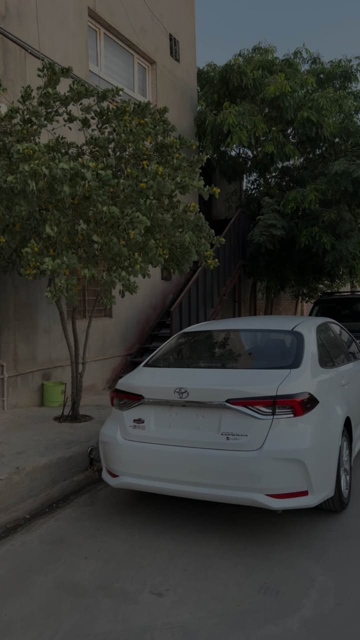 كورلا 2025 هايبرد واود صيني شكل خليجي 
ماشيه ١٨كيلو
مرقم اربيل  

كلين 
السعر 164 كركوك, العراق


**إذا كنت صاحب هذا الإعلان وتريد حذفه لأي سبب، رجاءا أرسل رسالة إلى الدعم الفني**