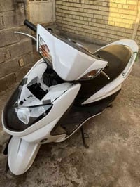 سكنس فحل نوزل خطين دراجة بلادية مكفولة كفالة عامة مصارلها شهر من نزلت ...