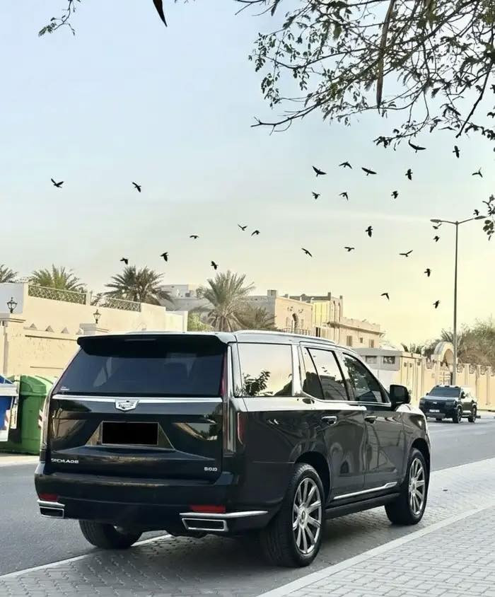 السلام عليكم//  

بدون اوراق كلك ادوات//

كاديلاك 2021   //  سكاليد بلاتينيوم

مكفول من الصبغ والكص والسرقه //

ماشيه 92  الف كم //

وتساب موجود لان ما متواجد على الاتصال فقط وتساب//

 ***********
