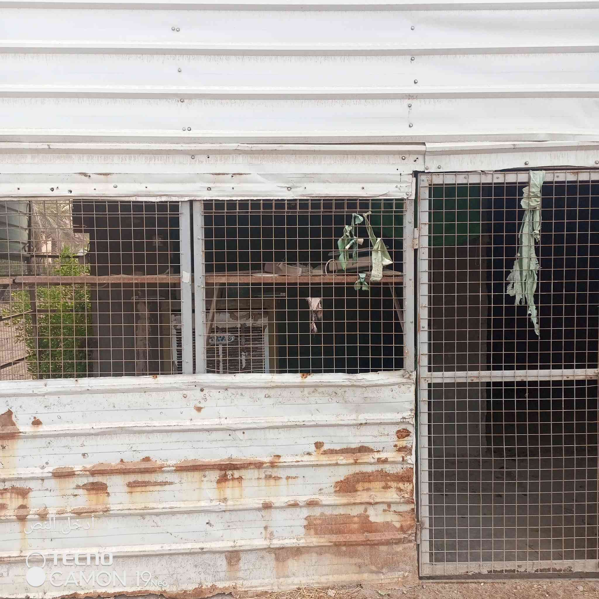 متاح البيع واجهيه محل طول 11ـــــــ، نزال 6 الارتفاع 3/30 ويا سكف مالته نفس طول


**إذا كنت صاحب هذا الإعلان وتريد حذفه لأي سبب، رجاءا أرسل رسالة إلى الدعم الفني**