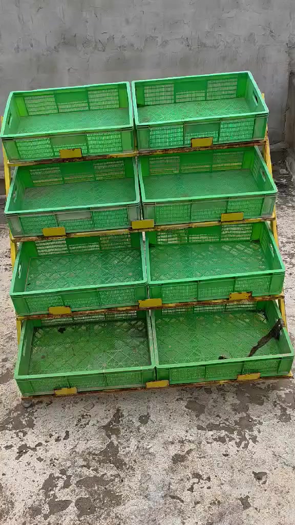 سلات مخظر وفواكه بيع مستعجل السعر كلهم ب150الف... عنوان موصل حي نابلس


**إذا كنت صاحب هذا الإعلان وتريد حذفه لأي سبب، رجاءا أرسل رسالة إلى الدعم الفني**