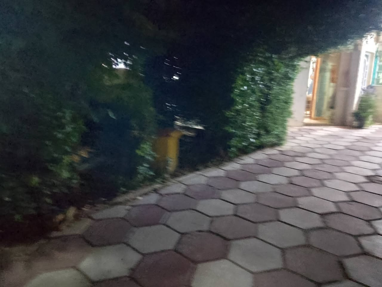 بيت للبيع توله فروش حي دولار خلف جامع ابو بكر طابو صرف مساحه190متر مربع بناء طابق ونص الطابق الأول غرفة نوم1
استقبال مطبخ حمام صحيات مجمع درج 
الطابق الثاني غرفة نوم +بيتونه حديقه كراج السعر95مليون وبي مجال رقم الهاتف***********
