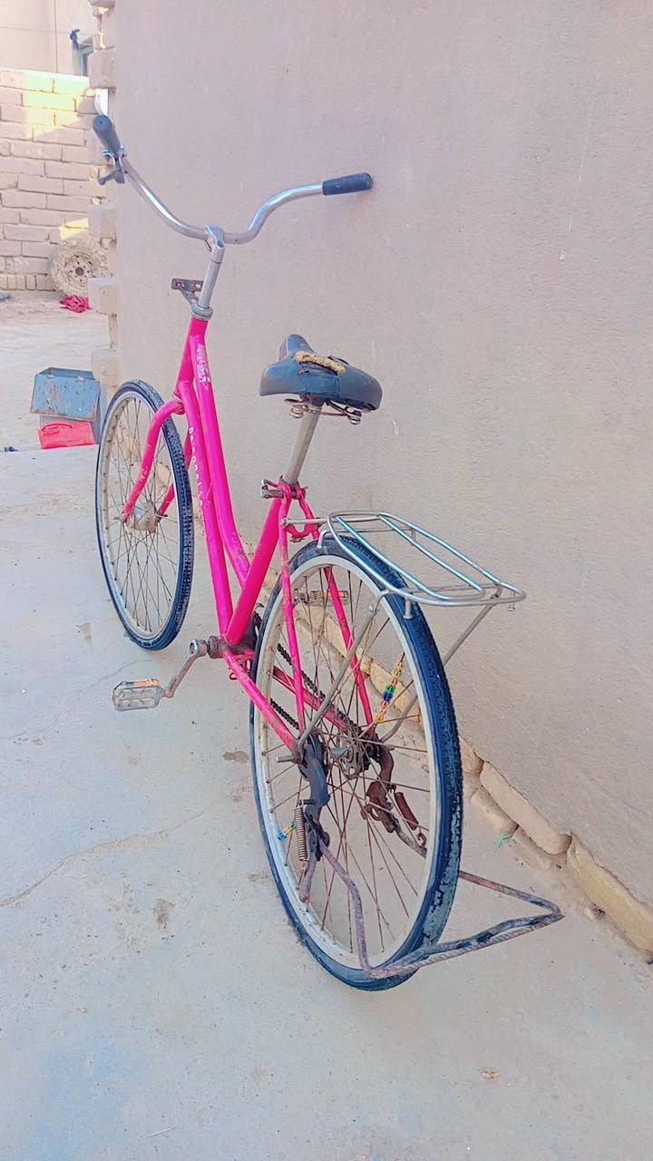 باسكل بناتي حجم 26 تواير وجيوبات كسر جيس سعر 50 وبيه مجال بسيط


**إذا كنت صاحب هذا الإعلان وتريد حذفه لأي سبب، رجاءا أرسل رسالة إلى الدعم الفني**