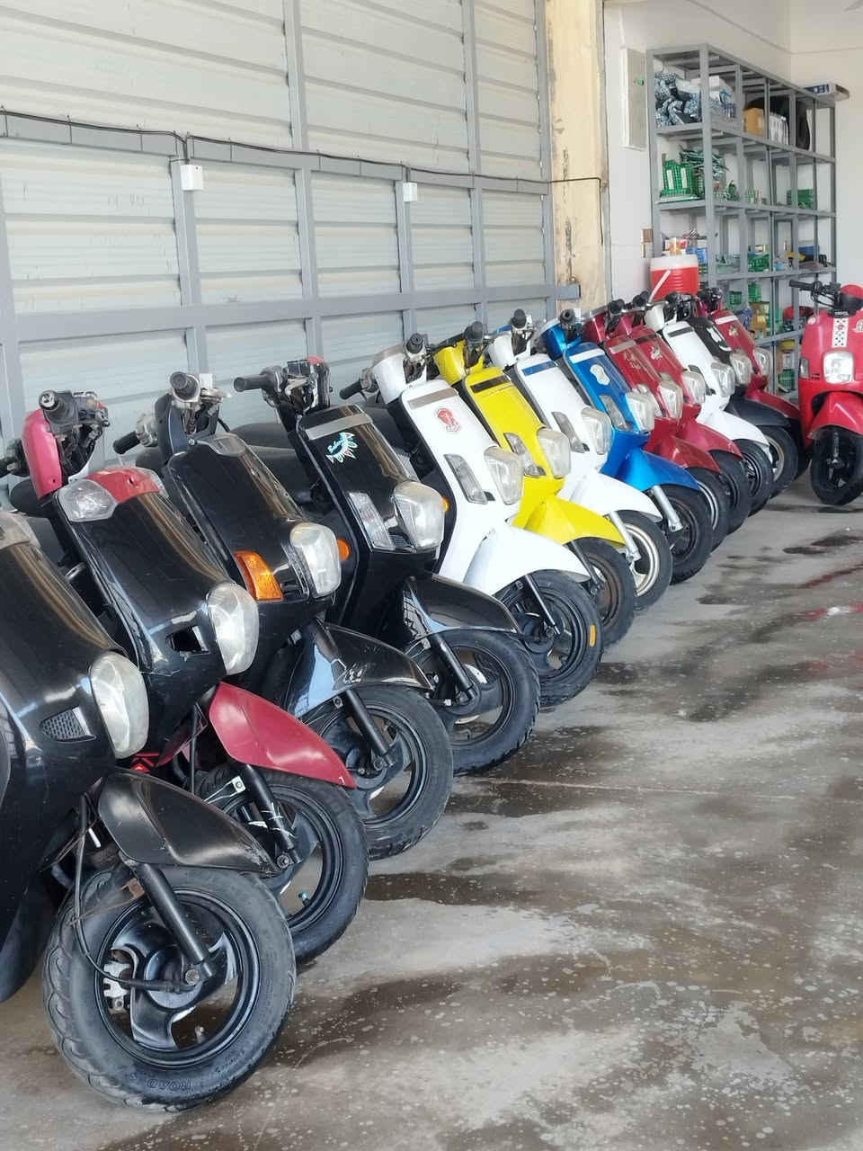 يعلن معرض علي زيدان لتجارة الدراجات النارية🇯🇵 بكافة انواعاها وموديلاتها والوانها   🏍️الكائن في المسيب / حي جايد عن عروض جميلة 🔥  لهذا الاسبوع و بأسعار تنافسية ويكون البيع حسب رغبة الزبون  نقدا وبالتقسيط المريح و بدون كفيل وبدون مقدمة لحاملي بطاقة ماستر الرافدين فقط 
***********
***********
