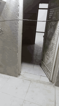 شقه للايجار العنوان الصالحيه قرب مركز الصحي تحتوي ع غرفه وصاله ومطبخ و...