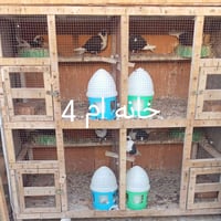 خانات للبيع • الفلوجة • حي الجولان