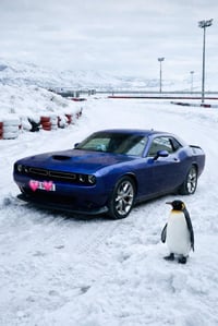 تحية طيبه للبيع او مراوس بسياره عاليه   جالنجر موديل 2023 جي تي ماشيه ...