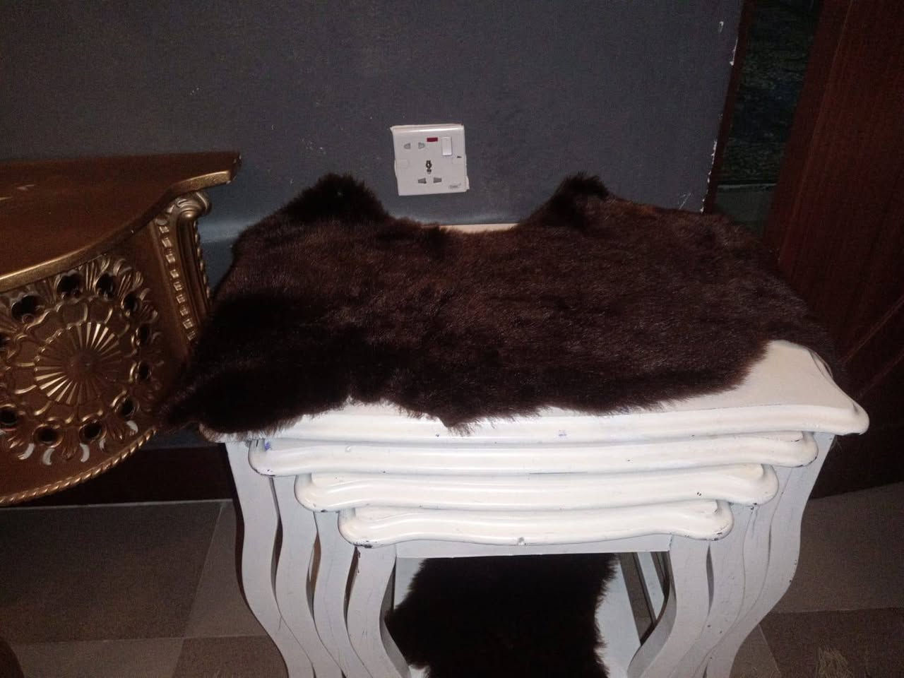 للبيع في السليمانيه واللي يحب يتواصل ماسنجر السعر 350 واللي يحب يتواصل خاص


**إذا كنت صاحب هذا الإعلان وتريد حذفه لأي سبب، رجاءا أرسل رسالة إلى الدعم الفني**