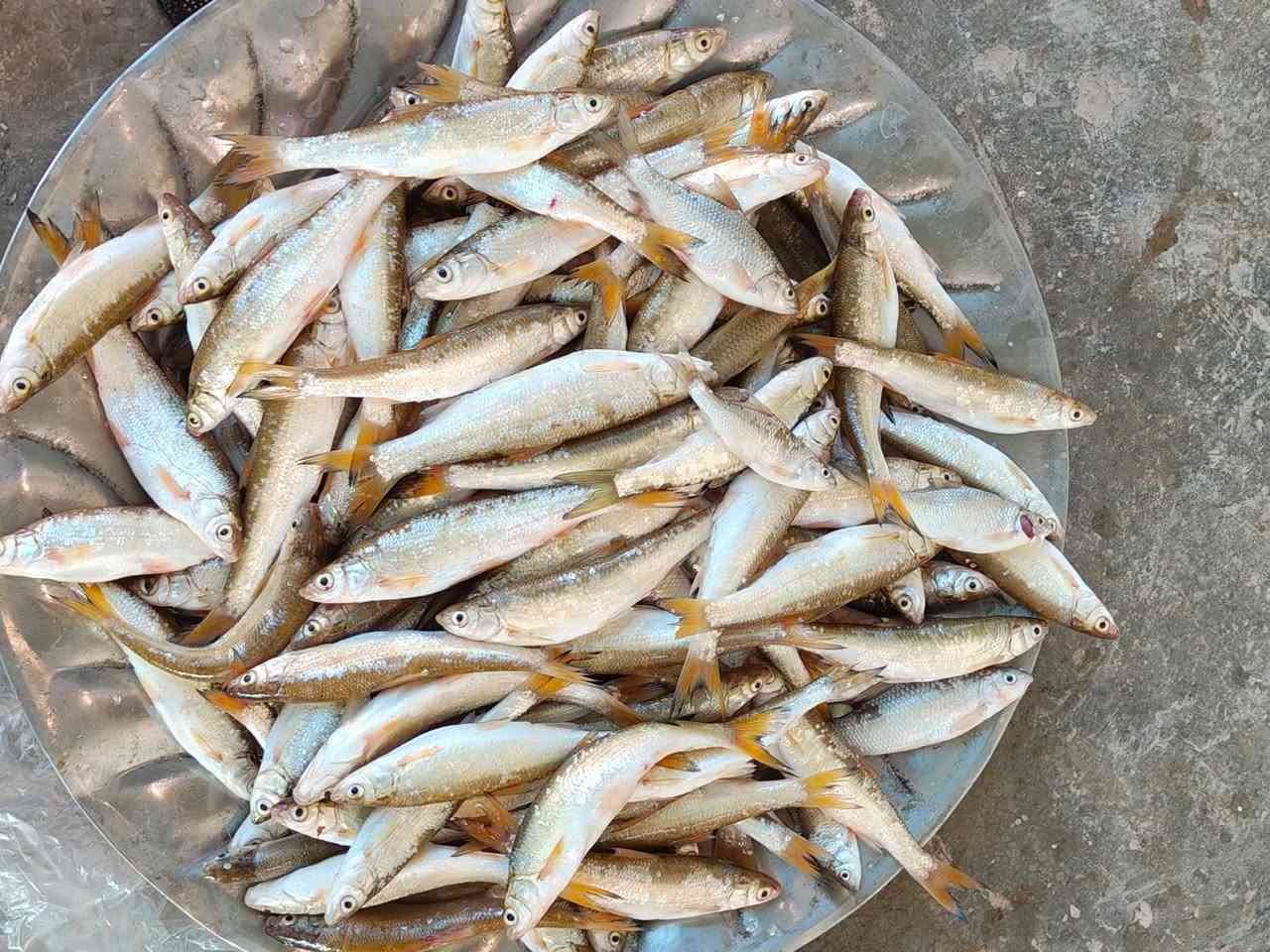 حاليا توصيل العصر اوكف يم فلكه قائم مقام أمام عباس ☎️☎️☎️للحجز والاستفسار اتصال ع هذا رقم  
‏***********
