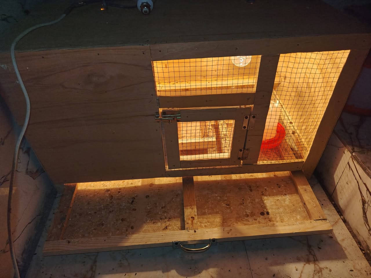 يا الله🌸🤲
السلام عليكم
متوفر عمل حاضنات افراخ شغل درجه اولى كلش مرتب قياسات الحاضنه واجهه 80cm. نزال 50cm. ارتفاع 40cm الحاضنه يجي بيها جرارة تنضيف وكلوب تدفئه وبسعر مناسب جداً جداً مكاني مشخاب *********** للتواصل واتساب
