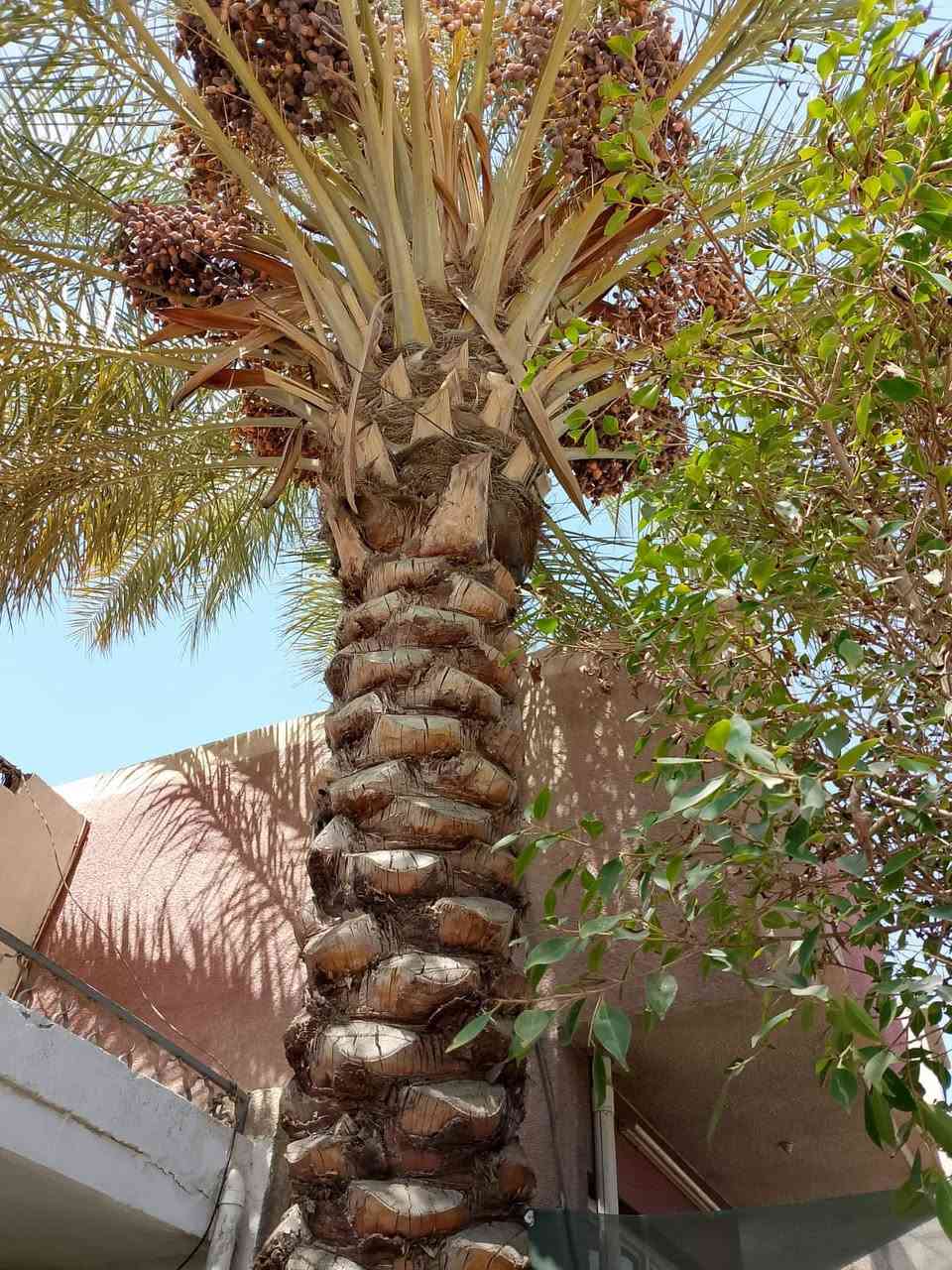 الدار للبيع طابوصرف المساحة 80 متر الواجه 4 والنزال 20 طابق ونص في منطقة الشرطه الخامسة يحتوي على گراج وحديقة وكليدور وهول حولي وخدمات ومطبخ وغرفة وترك والطابق الثاني غرفة وبيتونة وسطح والبيت عالي عن الشارع نص متر ثالث بيت بالفرع


**إذا كنت صاحب هذا الإعلان وتريد حذفه لأي سبب، رجاءا أرسل رسالة إلى الدعم الفني**