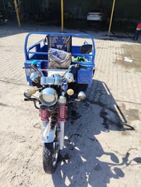 ستوته • مديل ٢٣ • كفاله عامه