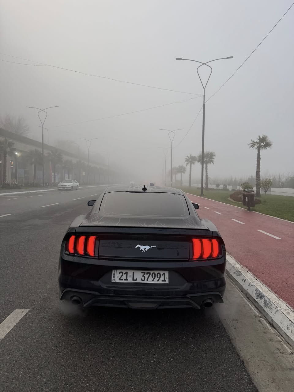 السلام عليكم
فورد موستنگ 2021 للبيع

رقم سليمانية ومكانها سليمانية

ايكو بوست

أعلى مواصفات بالايكو بوست

حتى عدادات دجتال موجوده بلادي ( سعرهن وحده بحدود ال١٥٠٠ دولار)

شاشة وسطية كبيرة

رادارات امامي خلفي 

نقطة عمياء 

مودات قياده نورمل سبورت تراك ثلج

لد داخل الوان متغير

من الأخير اعلى مواصفات 

نصبتها كلش حلوة

وسياقتها داخل سليمانية فقط نظيفة جدا

گير محرك شاصي مكفولات

بيها كتاب تظليل 80% سعره 450 الف سنة كامله

سيارة دهن بس لكوي مولي وبنزين سوبر نادرا محسن

ماشيه 48 الف كيلو وليس مايل

بالمايل بحدود 30 

حادثها تبديل جنطة خلفي وبيها بارد كم مكان بحواف الچاملغات

صبغ او ضربه غير الجنطه ماكو

ايرباگ ماكو

ما متواجدة عالفيس

هذا رقم للي يريد يجي يشوفها

رجاءا المو شراي ليخابر

سعرها 190 وبيها مجال

لتقارنوها بالمهجومات والعميات والايرباگ

***********

الي يريد يشوف فديوهات الها

مصوره هوايه الها فديوهات ع حساب الانستا asawer_alithawi
