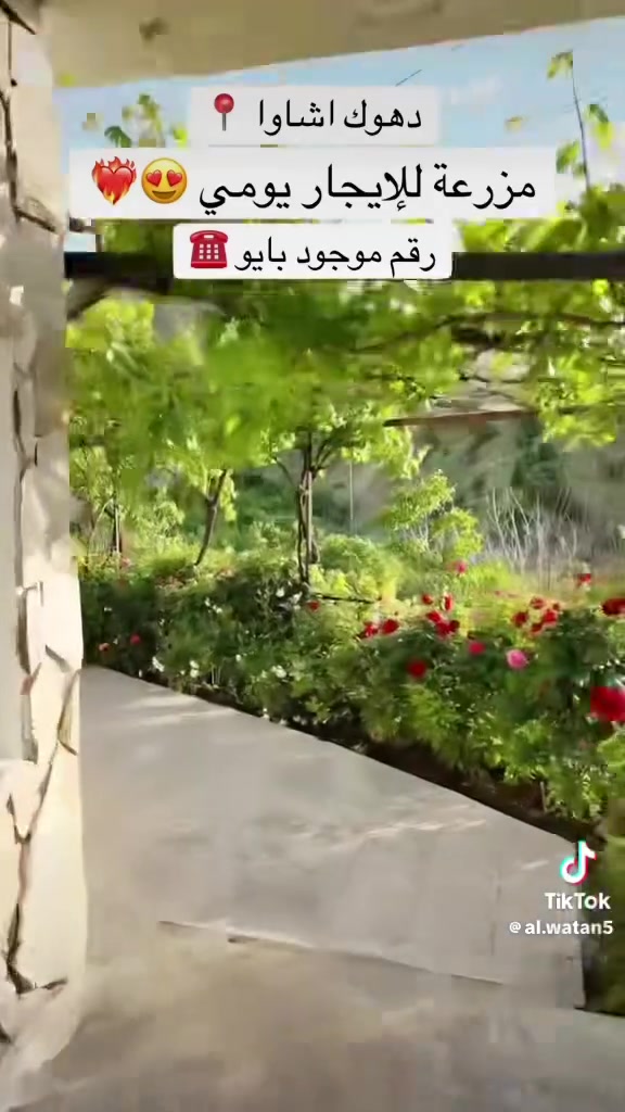 للحجز والاستفسار 
***********
***********
