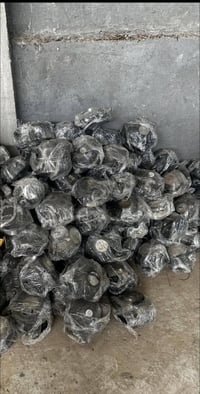 سماعات كوري • عطل بالفتح • بابل هاشميه