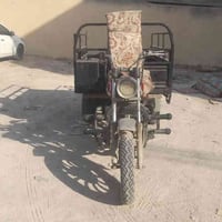 ستوته ادوات • بدون اوراق • جزيرة شط العرب