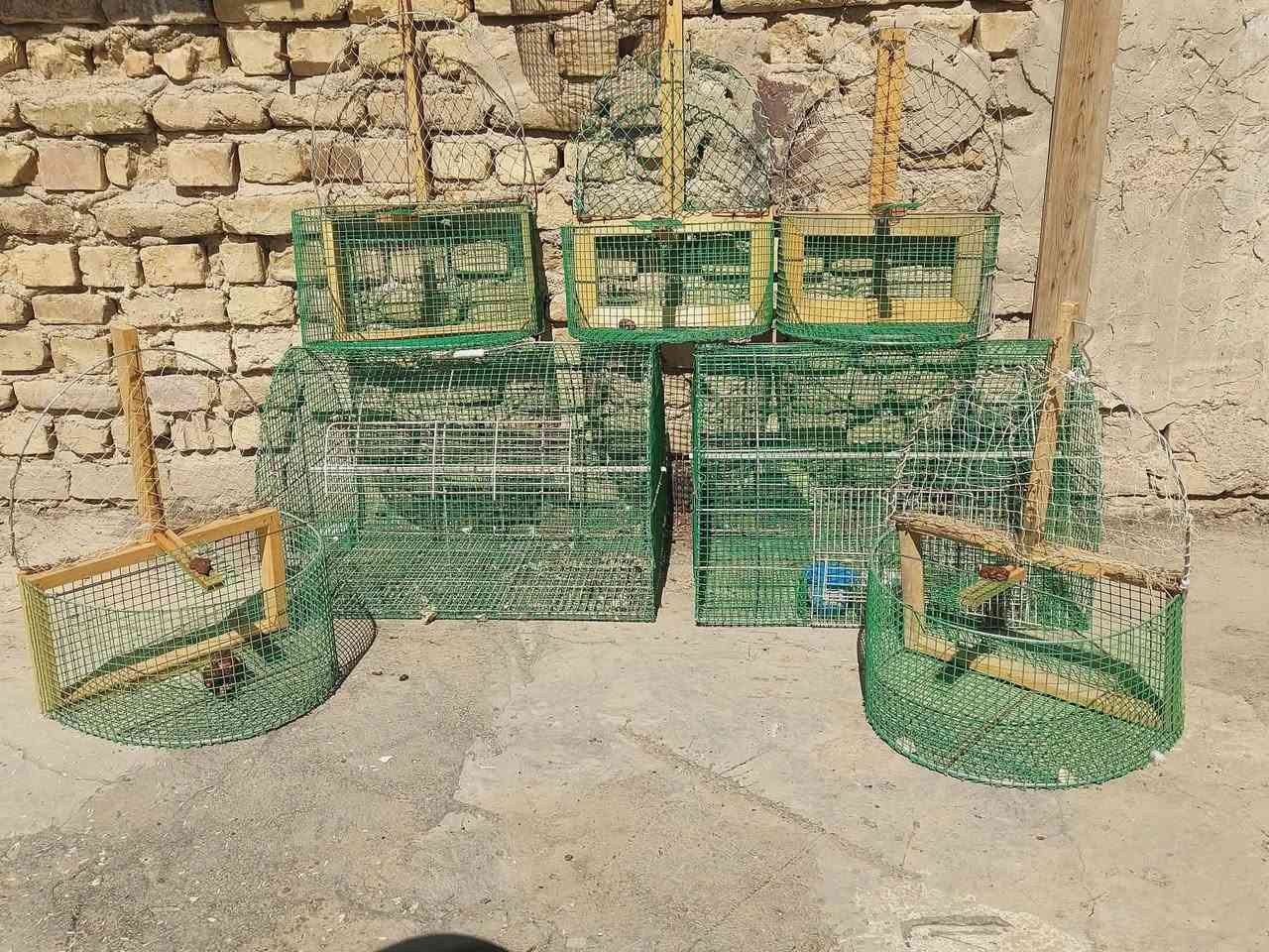 اقفاص بلابل للبيع السعر خاص


**إذا كنت صاحب هذا الإعلان وتريد حذفه لأي سبب، رجاءا أرسل رسالة إلى الدعم الفني**