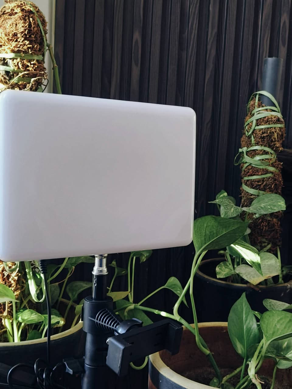 اسلام عليكم مثل ما واضح امامك 
1_ ايباد حجم كبير مع اضافات جباره 
2_ايباد اطفال صغير 
3_ منفاخ متنقل 
4 لابتوب دل ويندوز 10
5_اضائة تصوير مع استاند 
6_كامره تصوير مع استاند 
للحجز و الاستفسار مراسلة الصفحه او واتس 
***********
