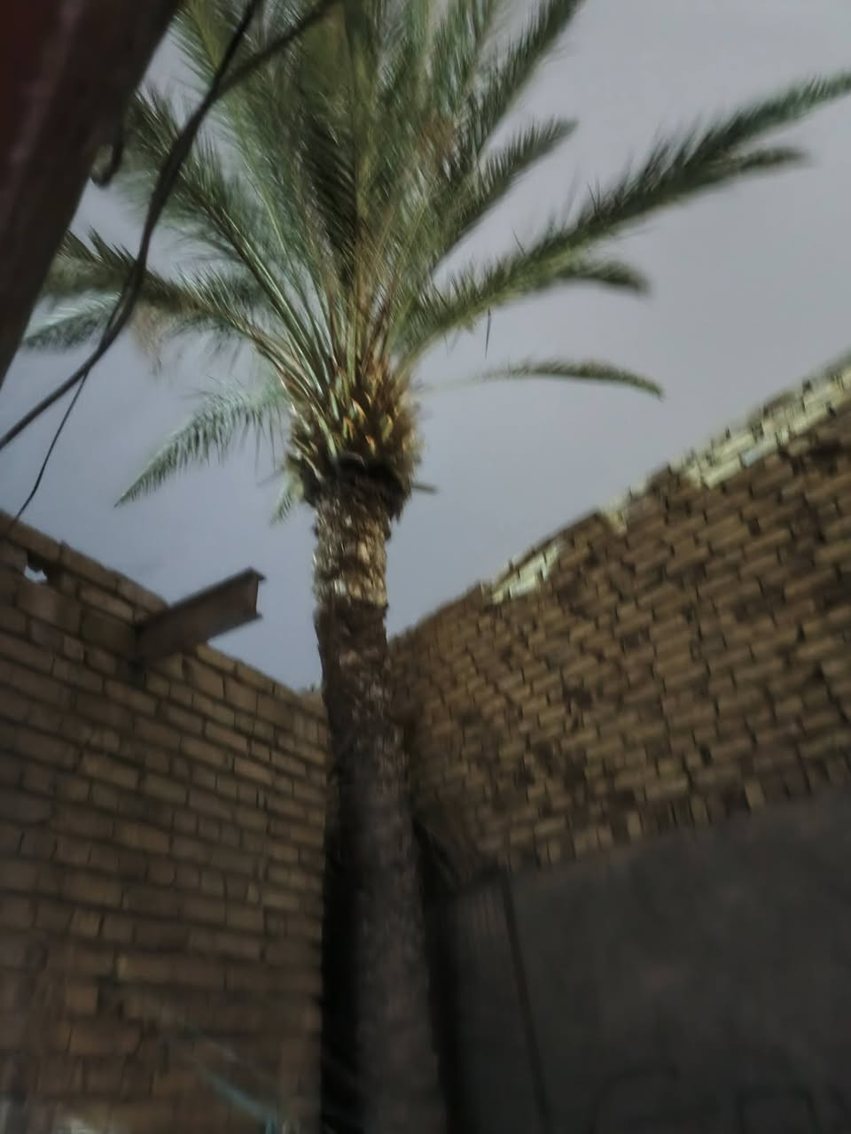 السلام عليكم بيت طابو صرف البيع مساحه ١٦٠غرفتين وصاله ومطبخ وصحيات بناء طابوك مكانه العكبه قرب الروضه ***********
