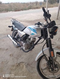 دايوان 2020 • كفالة • كربلاء الفريحه