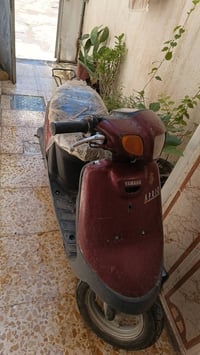 ابريو • بترا • هندر