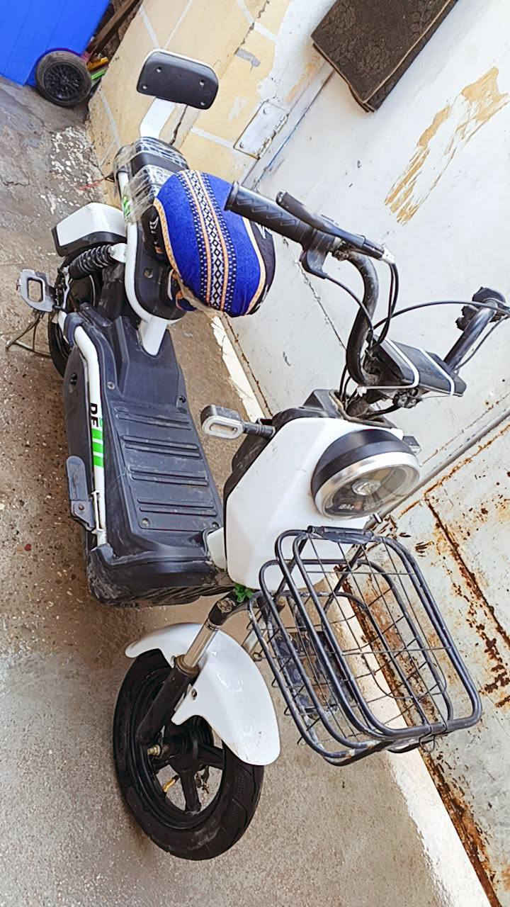 دراجه شحن A14 للبيع الاستفسار عالخاص


**إذا كنت صاحب هذا الإعلان وتريد حذفه لأي سبب، رجاءا أرسل رسالة إلى الدعم الفني**