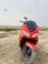 فورزه • معدل 150 • ديالى خالص