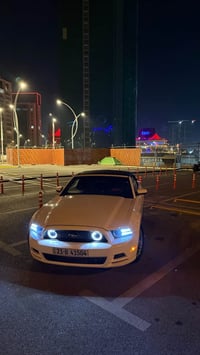 موستانغ • حالة ممتازة • ضرب خفيف