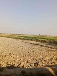 🌲🌿دوانم جميله موقع جيد التاجي ذراع دجلة طابو سند 25 خدمات كاملة ماء اس...