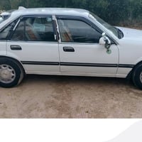 برنس • ١٩٩٥ • معمر