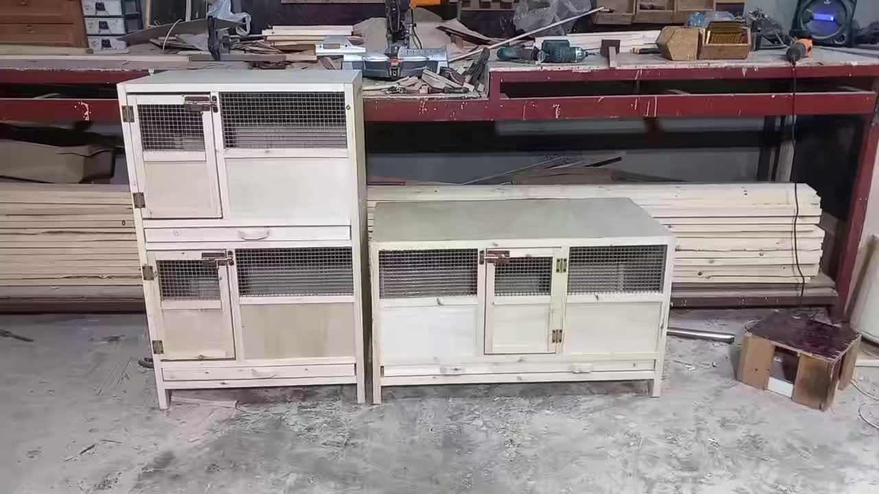 شغل حسب الطلب حظانه كتاكيت سعرب٤٥الف المربع الواحد *********** ومربع ب٣٠الف
