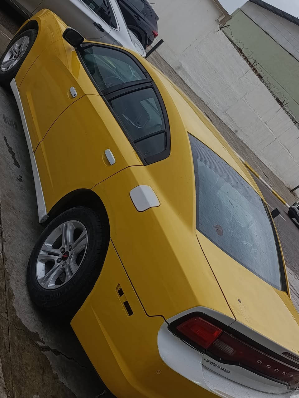 السلام عليكم 
جرجر2012رقم بغداد انكليزي سنويه بسمي هيئه وغرامات صفر تحويل جديد قبل كم يوم ضرر براس الجاملغ امامي شبر بدون دواخل شاشه جبيره كشن كهرب سياره مال جناي خطها عماره بغداد ماتصرف عليها شي جاهزه السعر 142$ بيها مجال بسيط ترهم مراوس حسب القناعه 
***********
***********
ارقامي بيها واتساب
انا مكلف بالنشر رجاءا
