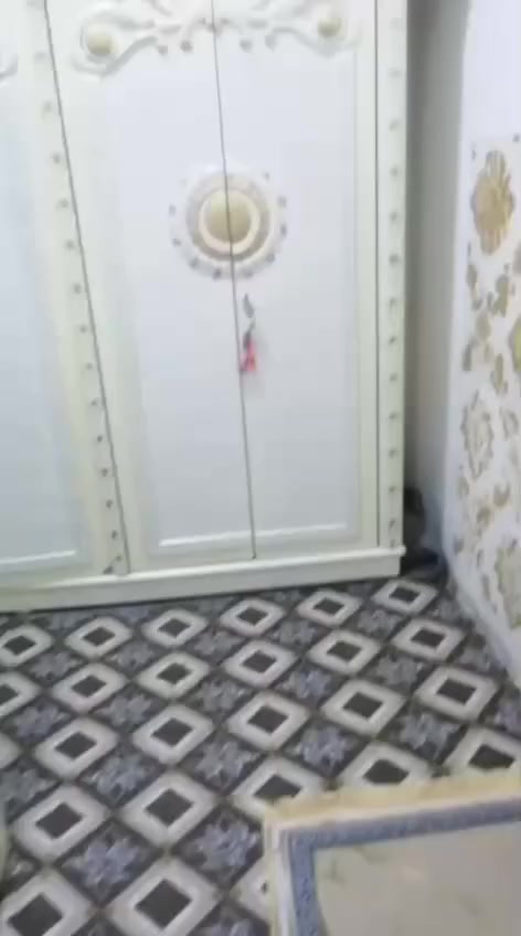 غرفة نوم للبيع ابد مانايمين عليه هيه والدوشك ب600 مكانه دواية


**إذا كنت صاحب هذا الإعلان وتريد حذفه لأي سبب، رجاءا أرسل رسالة إلى الدعم الفني**