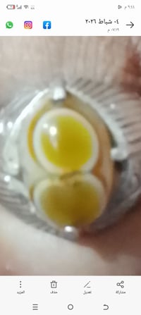 محبس سليماني • فضة • حجم متوسط