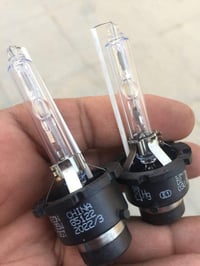 زنون فول أبيض • شاهين • نجف