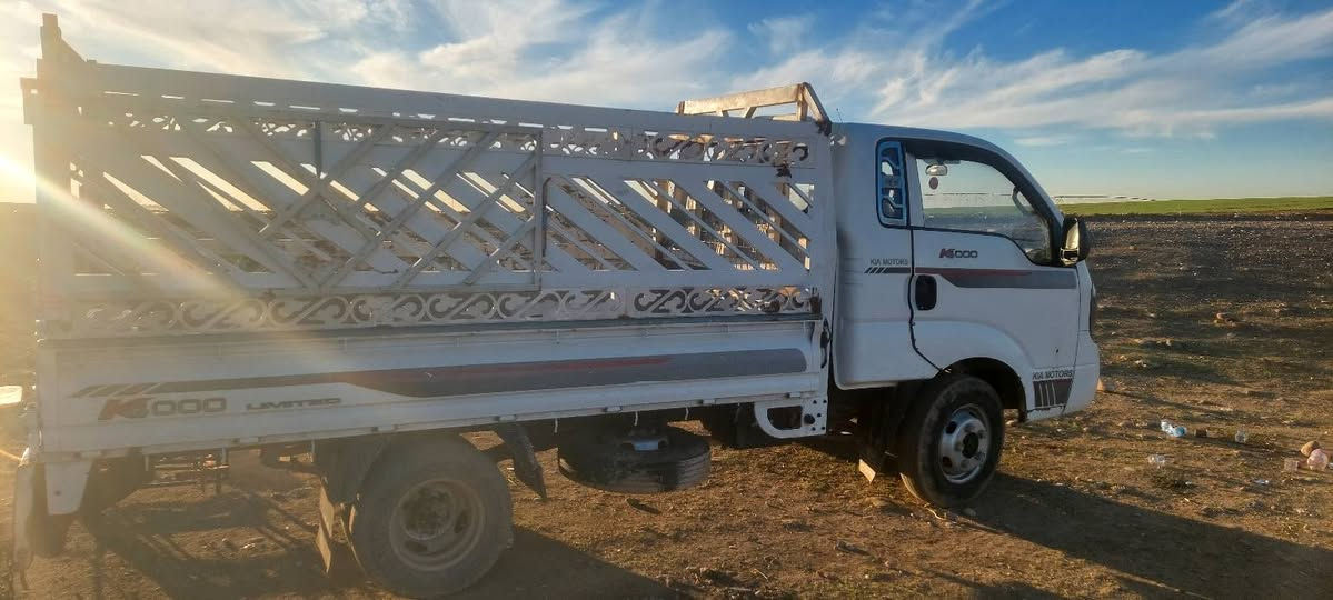 فحل رقم بغداد مشروع وطني 
شرط تحويل ..سنويه 2027
بيها باب السكن مبدل بلادي 
شرط شاصي وكير 
المحرك بي بداية تبخير 
السعر 138$ بيها مجال بسيط
للتواصل ***********
            ***********
