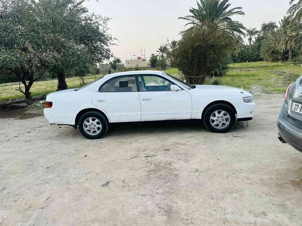 يالله شيزر مكفوله كص نقل جثه عيب شرعي. مكينه وكير ونجي. كلش حلوات. تبريد شغال. سياره جاهزه. وحلوه. 
مكاني ناصريه. رفاعي. 
***********
